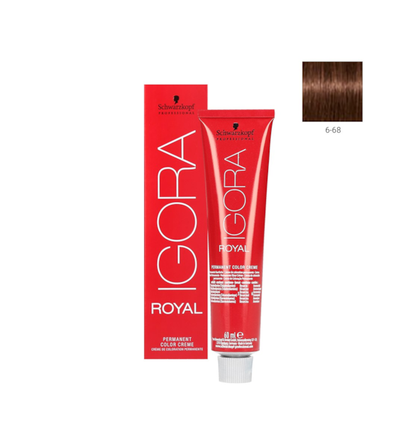 IGORA ROYAL 6-68