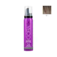 IGORA EXPERT MOUSSE 8-1