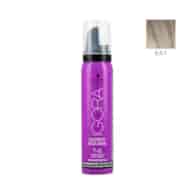 IGORA EXPERT MOUSSE 9,5-1
