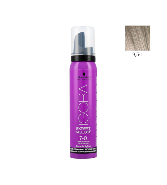 IGORA EXPERT MOUSSE 9,5-1