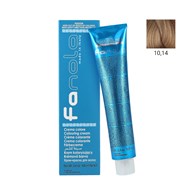 FANOLA COLOR CREAM 10,14 100ML