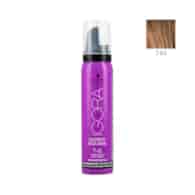 IGORA EXPERT MOUSSE 7-65