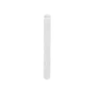 MIMO NAIL FILE CAT