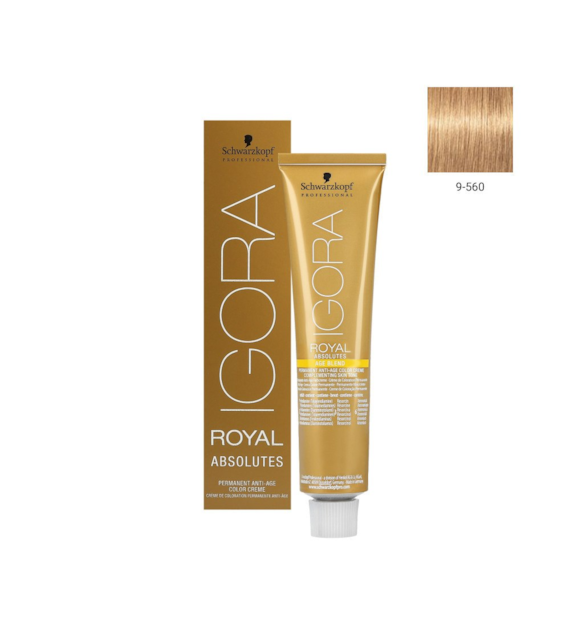 IGORA ABSOLUTES 9-560