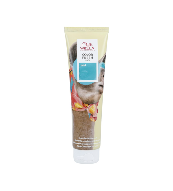 COLOR FRESH MASK MINT 150ML