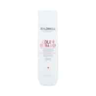 DUAL COLOR EXTRA RICH BRILLIANCE SHAMPOO 250ML