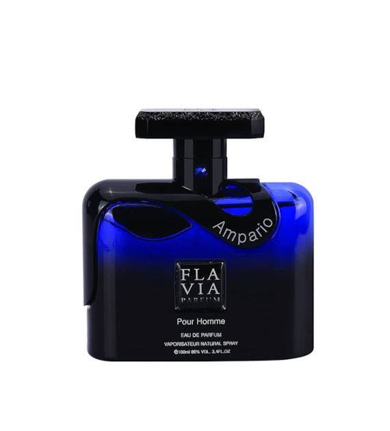 FLAVIA AMPARIO POUR HOMME EDP 100ML
