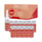 FANOLA VITAMINS ENERGIZING LOTION 12X10ML