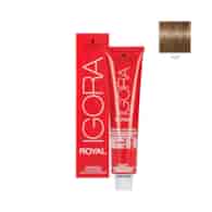 IGORA ROYAL 8-00