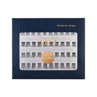 PIERRE RENE ART LASH CLUSTERS 10 12 14