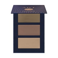 PIERRE RENE CREAM CONTOURING PALETTE 02 12G